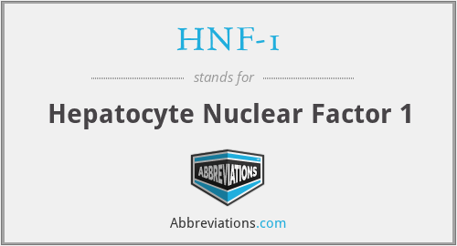 HNF-1 - Hepatocyte Nuclear Factor 1
