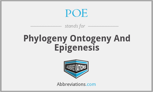 POE - Phylogeny Ontogeny And Epigenesis
