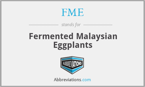 FME - Fermented Malaysian Eggplants