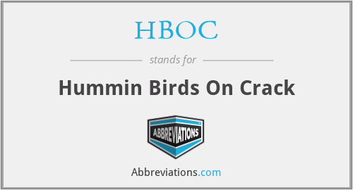 HBOC - Hummin Birds On Crack