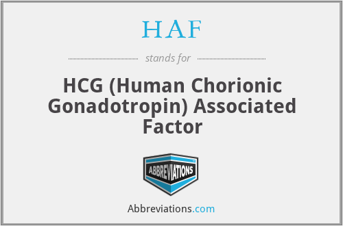 HAF - HCG (Human Chorionic Gonadotropin) Associated Factor