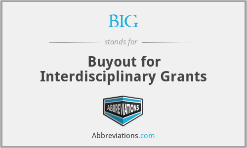 BIG - Buyout for Interdisciplinary Grants