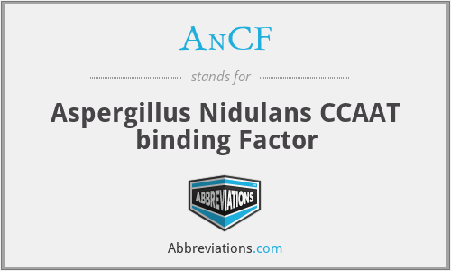 AnCF - Aspergillus Nidulans CCAAT binding Factor