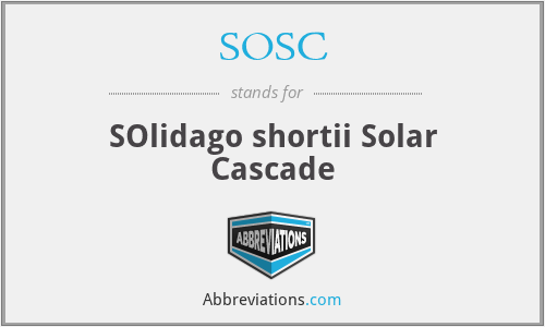 SOSC - SOlidago shortii Solar Cascade