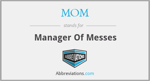 MOM - Manager Of Messes