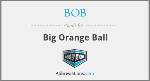 BOB - Big Orange Ball